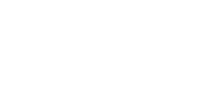 DVS Media 